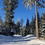 Anra Pohorje Casa vacanze *