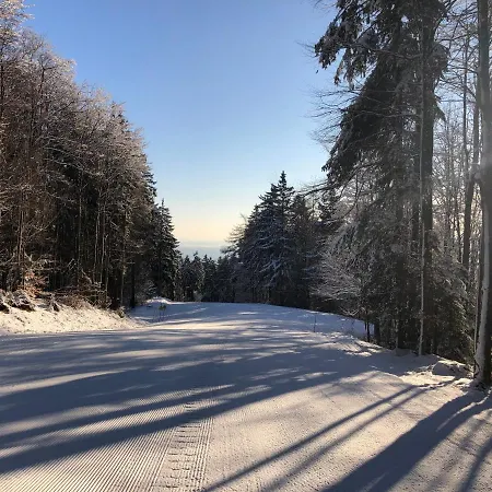 Σπίτι διακοπών Anra Pohorje Zgornje Hoce