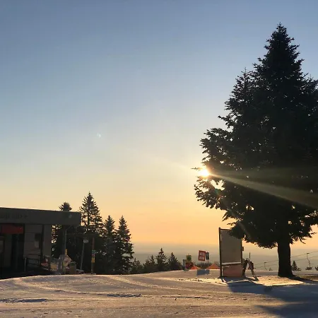 Počitniška hiša Anra Pohorje