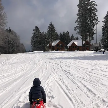 Anra Pohorje Holiday home *