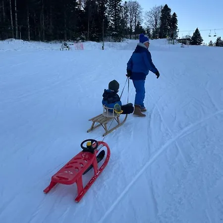 Semesterbostad Anra Pohorje *