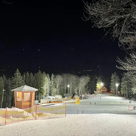 Anra Pohorje Holiday home *