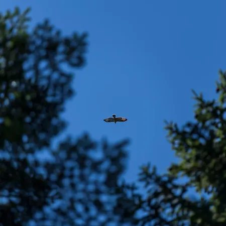 Anra Pohorje Σπίτι διακοπών *