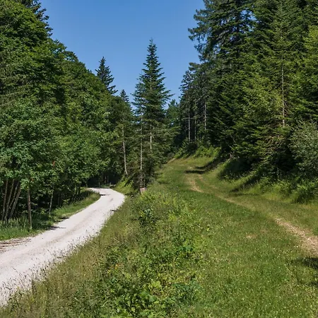 Holiday home Anra Pohorje