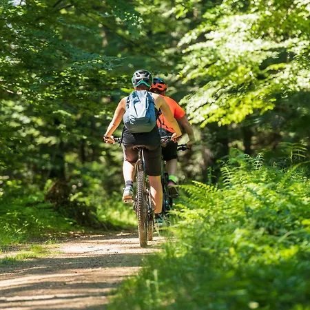 Σπίτι διακοπών Anra Pohorje Zgornje Hoce