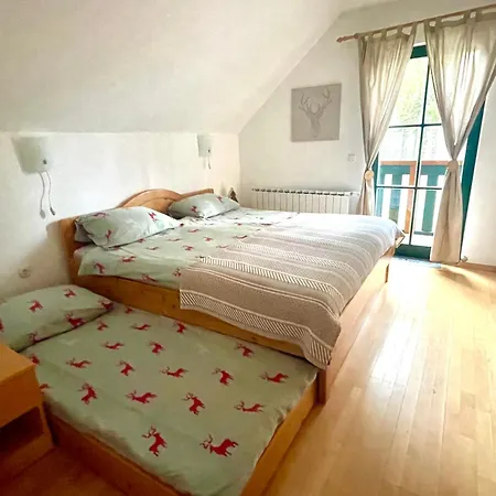 Anra Pohorje Holiday home *